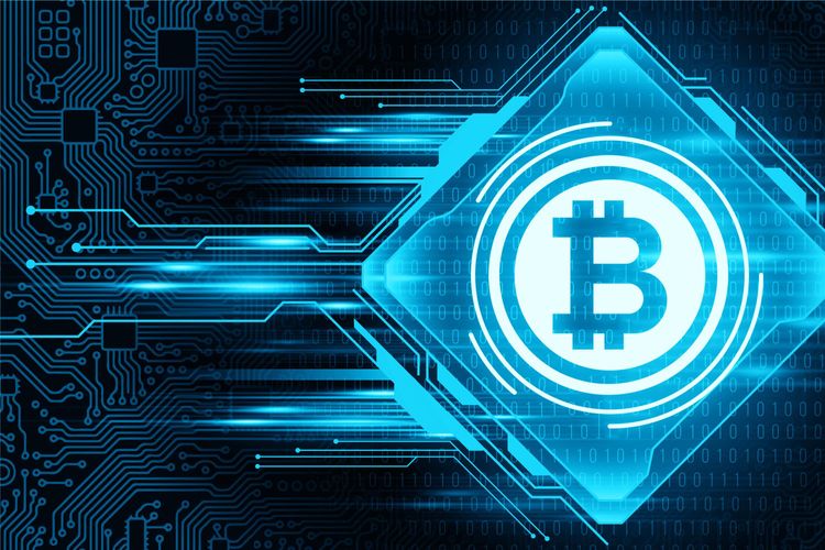 Why Is Crypto Crashing? How to Understand the Volatility and Bitcoin’s Rise?